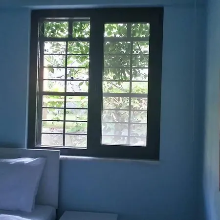 Ressam Sapanca