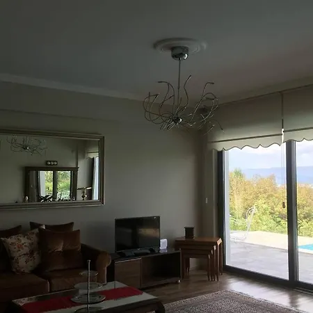 Ressam Villa Sapanca