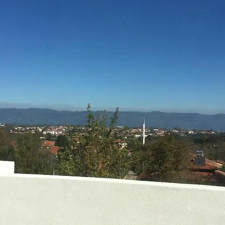 Ressam Villa Sapanca