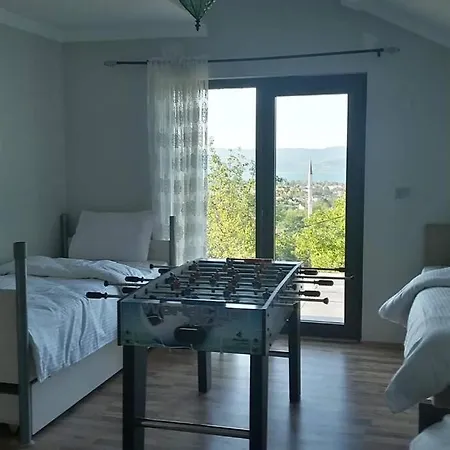 Ressam Sapanca