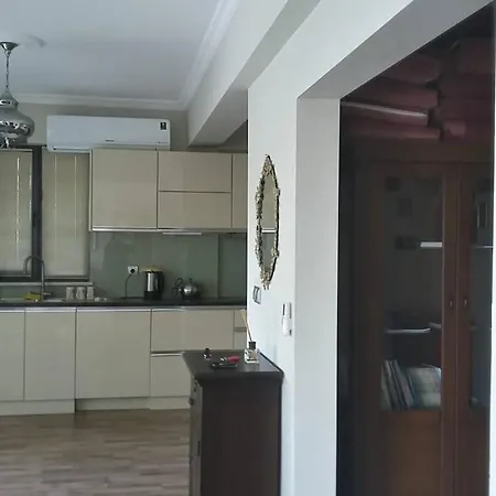Villa Ressam Sapanca